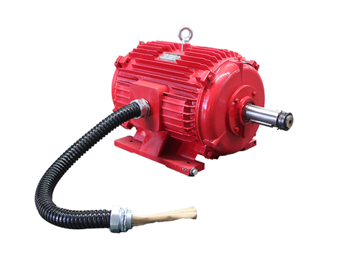 YPT系列地鐵風(fēng)機(jī)用變頻調(diào)速三相異步電動(dòng)機(jī) YPT系列地鐵風(fēng)機(jī)用變頻調(diào)速三相異步電動(dòng)機(jī)